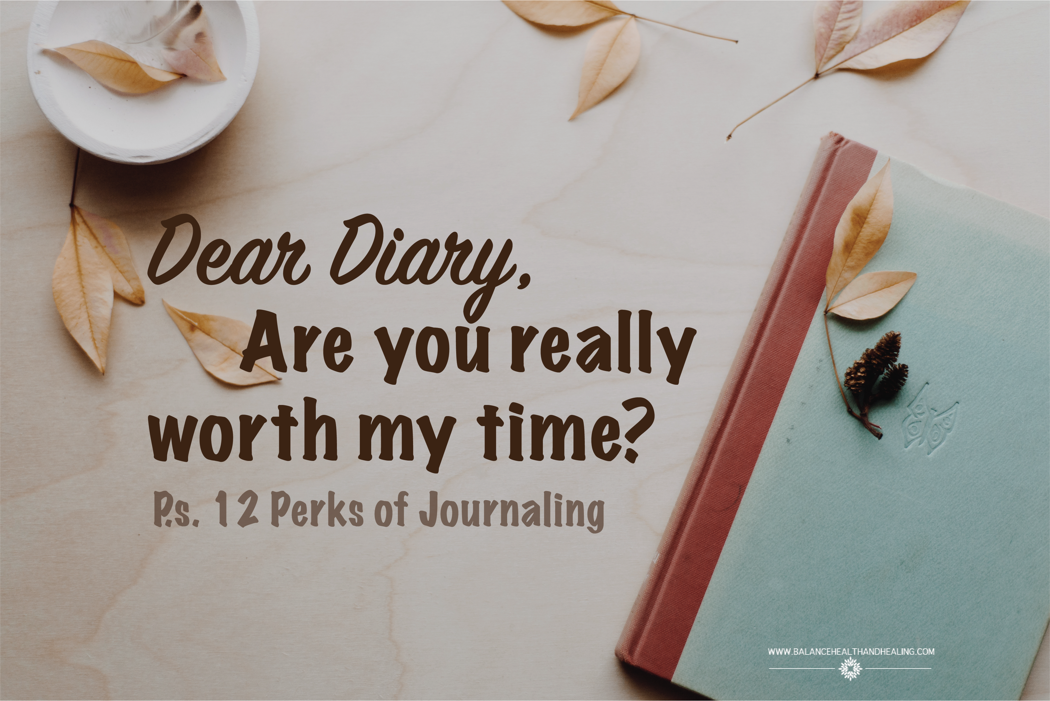Dear Diary, Are you really worth my time?