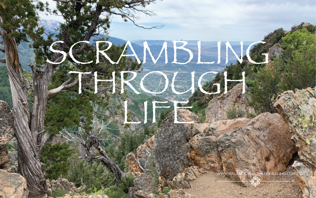 Scrambling through Life