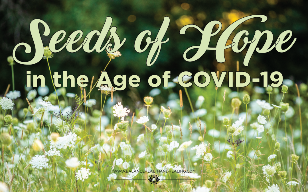 Seeds of Hope in the Age of COVID-19