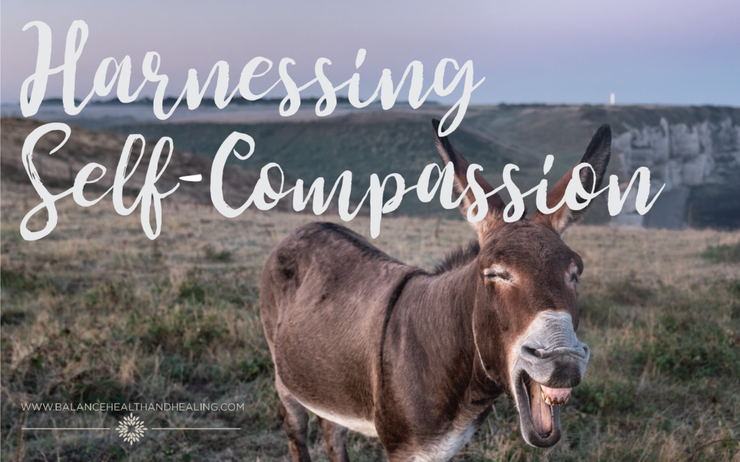 Harnessing Self-Compassion