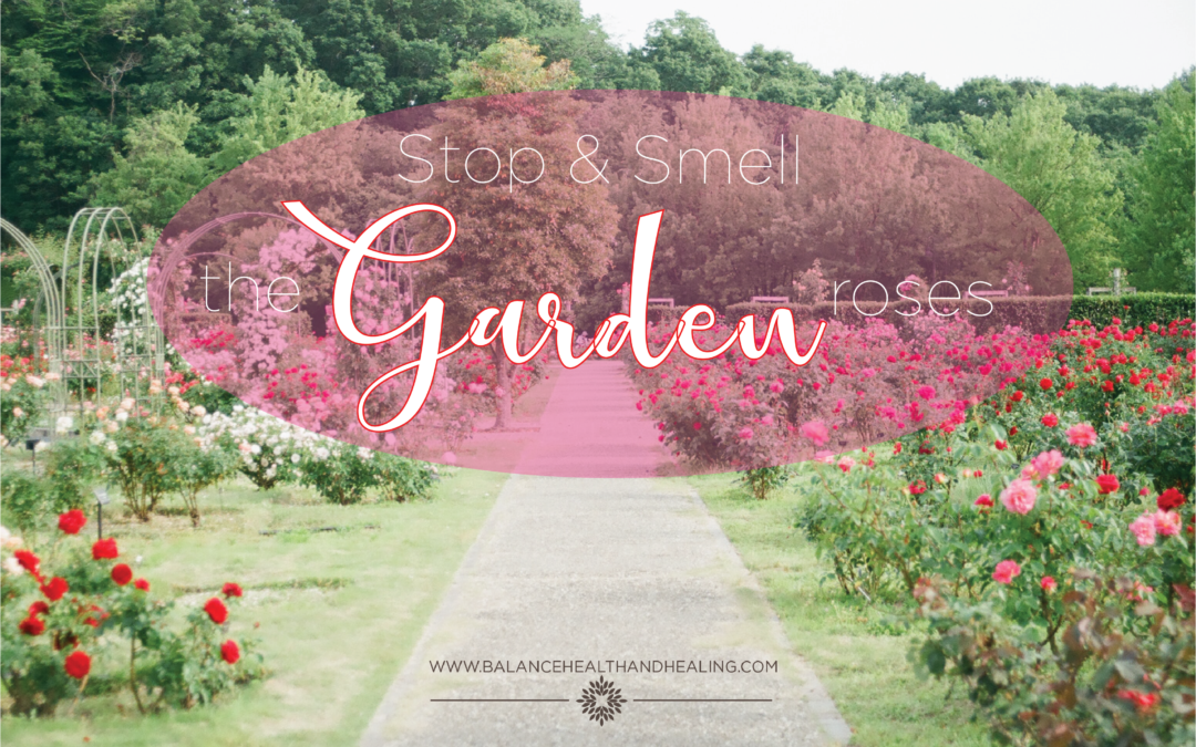 Stop and Smell the (Garden) Roses
