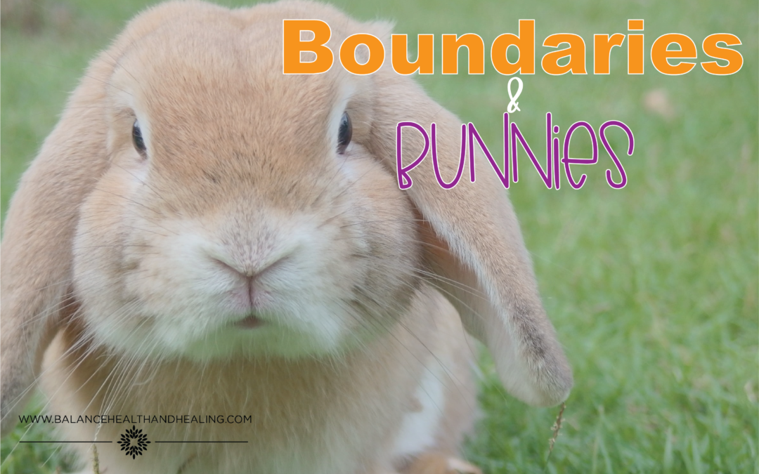 Boundaries and Bunnies